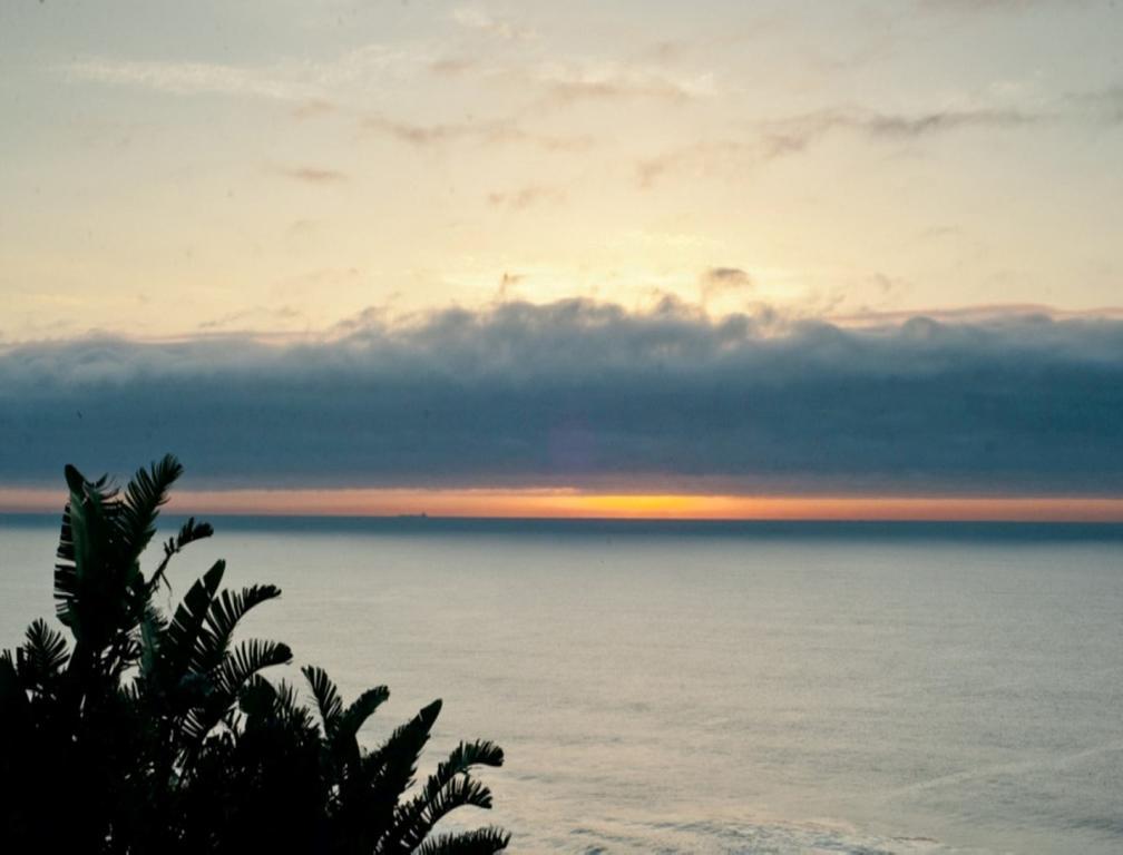 The Tides Inn Bed And Breakfast Ντούρμπαν Εξωτερικό φωτογραφία